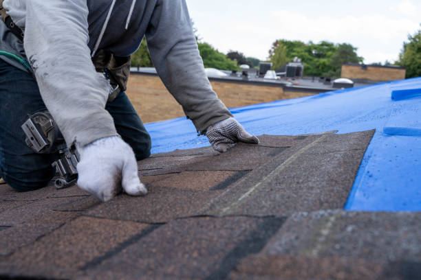 Best Storm Damage Roof Repair  in Ferndale, CA
