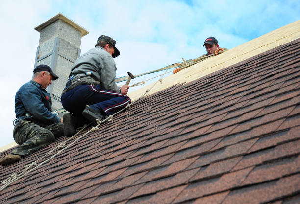 Best Sealant for Roof  in Ferndale, CA